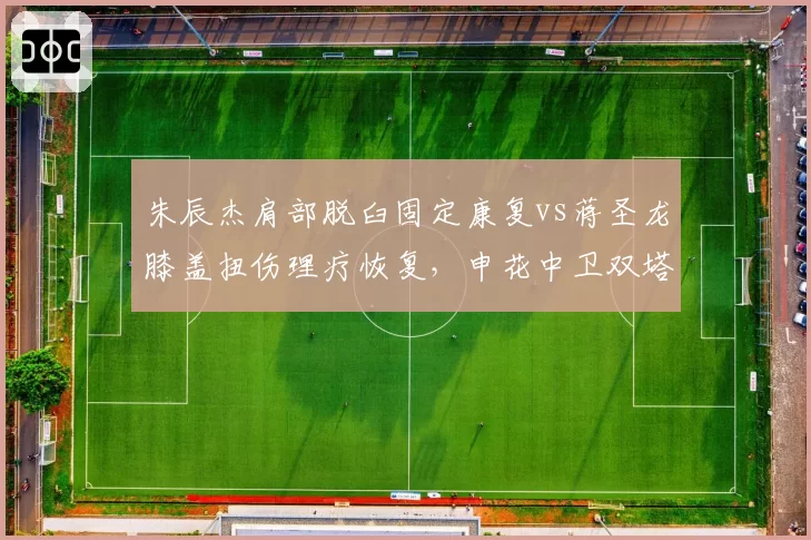 朱辰杰肩部脱臼固定康复vs蒋圣龙膝盖扭伤理疗恢复,申花中卫双塔回归日程