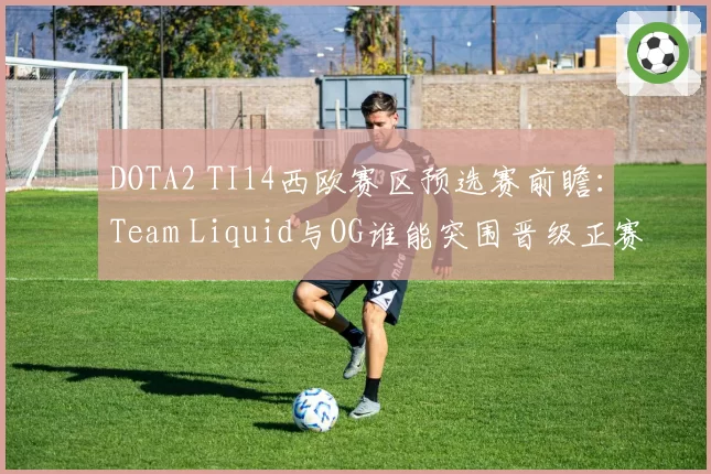 DOTA2 TI14西欧赛区预选赛前瞻:Team Liquid与OG谁能突围晋级正赛